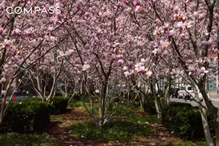 388 Bridge St, New York City, NY 11201 - Photo 32