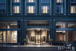 10 Nevins St, New York City, NY 11217 - Photo 18