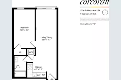 1226 St Marks Avenue #2A, New York City, NY 11213 - Photo 6