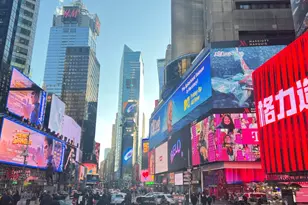 356 W 48th St, New York City, NY 10036 - Photo 24