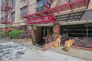 165 Christopher St, New York City, NY 10014 - Photo 10