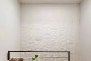 1324 Jefferson Ave, New York City, NY 11221 - Photo 8