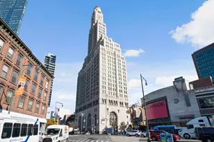 1 Hanson Pl, New York City, NY 11243 - Photo 20