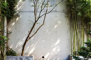 272 St Marks Ave, New York City, NY 11238 - Photo 8