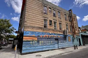 267 Troy Ave, New York City, NY 11213 - Photo 2