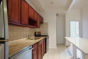 784 Halsey St, New York City, NY 11233 - Photo 4