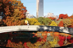 50 W 66th St, New York City, NY 10023 - Photo 20