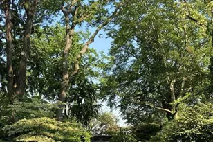 419 E 87th St, New York City, NY 10128 - Photo 10