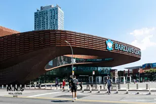 19 Rockwell Pl, New York City, NY 11217 - Photo 34