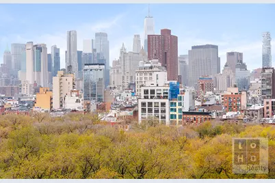 212 E Broadway #1203, New York City, NY 10002 - Photo 18