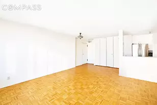 555 Main St, New York, NY 10044 - Photo 6