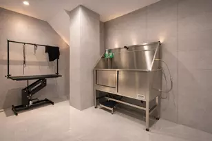 91 Bruckner Blvd, New York City, NY 10461 - Photo 20