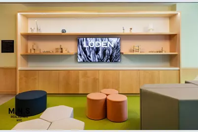 54 Crown Street #1505, Brooklyn, NY 11225 - Photo 36