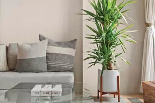 519 W 23rd St, New York City, NY 10011 - Photo 6