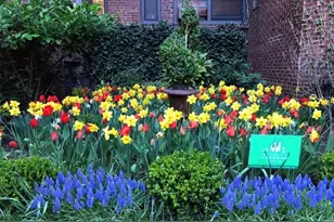 225 E 74th St, New York City, NY 10021 - Photo 12