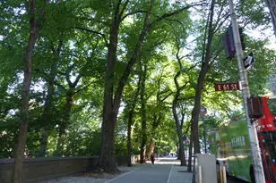 110 E 61st St, New York City, NY 10021 - Photo 14