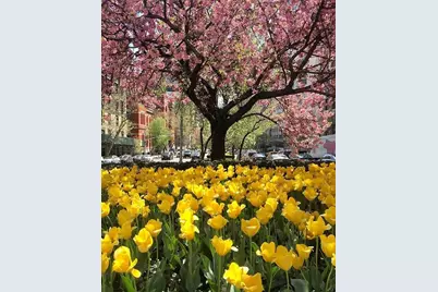 750 Park Avenue #1C, New York, NY 10021 - Photo 14