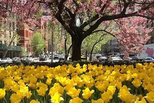 750 Park Ave, New York, NY 10021 - Photo 14