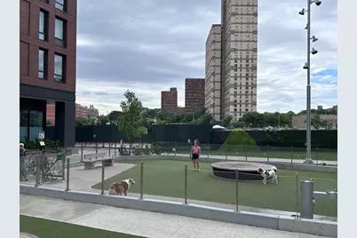 550 Vanderbilt Avenue #212, New York City, NY 11238 - Photo 30