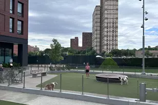 550 Vanderbilt Ave, New York City, NY 11238 - Photo 30