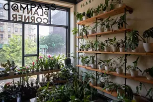 1787 Madison Ave, New York City, NY 10035 - Photo 12