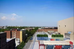 264 Webster Ave, New York City, NY 11230 - Photo 12