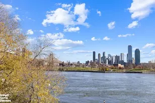 444 E 52nd St, New York City, NY 10022 - Photo 24