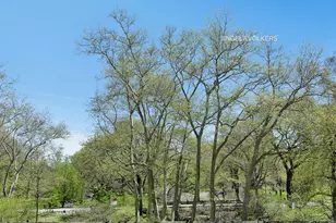15 Central Prk W, New York, NY 10023 - Photo 12