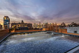 295 Hicks St, New York City, NY 11201 - Photo 42