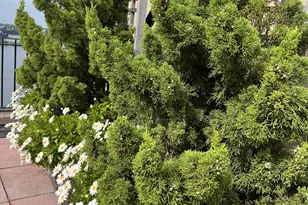 140 Riverside Dr, New York City, NY 10024 - Photo 12