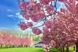 514 9th St, Brooklyn, NY 11215 - Photo 18