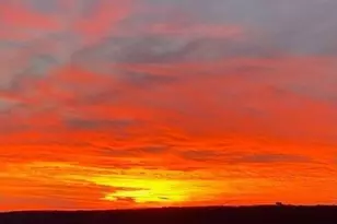 4455 Douglas Ave, New York City, NY 10471 - Photo 32