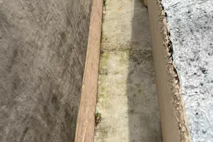 321 Milford St, Brooklyn, NY 11208 - Photo 22