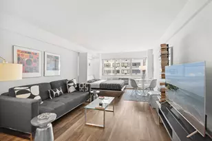 333 E 46th St, New York City, NY 10017 - Photo 2