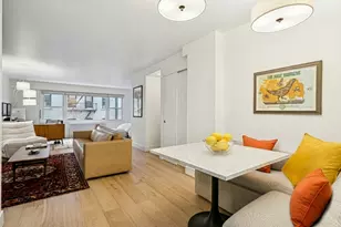 333 E 66th St, New York City, NY 10021 - Photo 4
