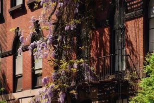 35 Stuyvesant St, New York, NY 10003 - Photo 2