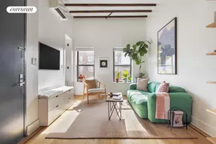 917 St Marks Ave, New York City, NY 11213 - Photo 2