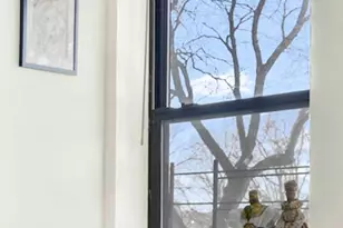 25 Parade Pl, Brooklyn, NY 11226 - Photo 14