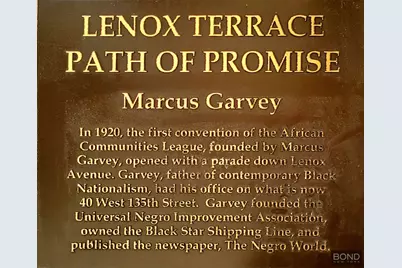 40 W 135th Street #10M, New York City, NY 10037 - Photo 10