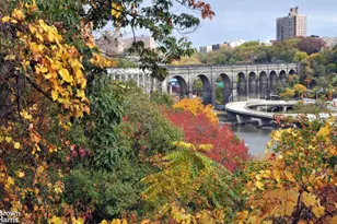 515 Edgecombe Ave, New York, NY 10032 - Photo 12