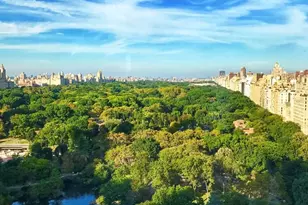 1 Central Park S, New York City, NY 10019 - Photo 10