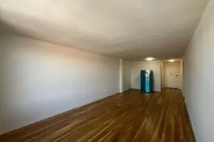 925 E 14th St, Brooklyn, NY 11230 - Photo 4