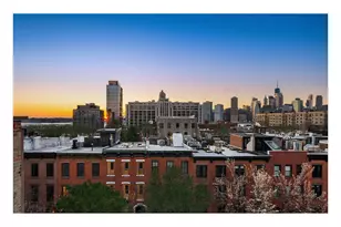 297 Hicks St, New York City, NY 11201 - Photo 48