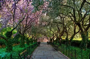 870 5th Ave, New York City, NY 10065 - Photo 16