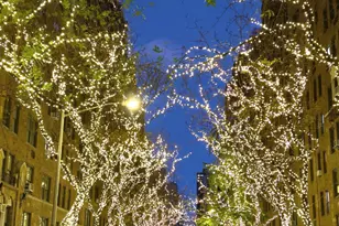 220 E 73rd St, New York City, NY 10021 - Photo 14