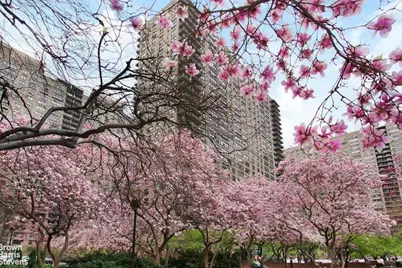 205 W End Avenue #3E, New York City, NY 10023 - Photo 1