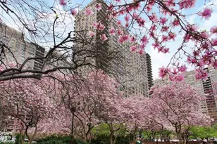 205 West End Ave, New York City, NY 10023 - Photo 1