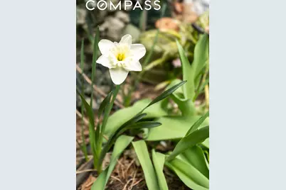 426 W 160th Street, New York City, NY 10032 - Photo 32