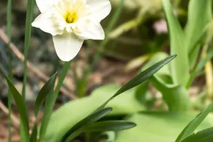 426 W 160th St, New York City, NY 10032 - Photo 32