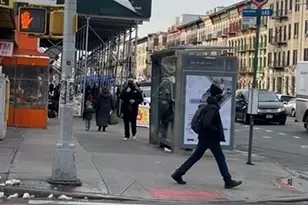 237 Utica Ave, Brooklyn, NY 11213 - Photo 18